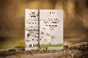 Book-Mockup-ebook new.webp